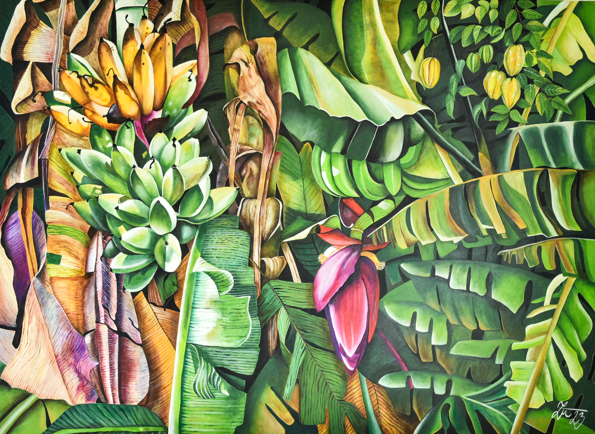 Banánovník 110 x 150 cm 