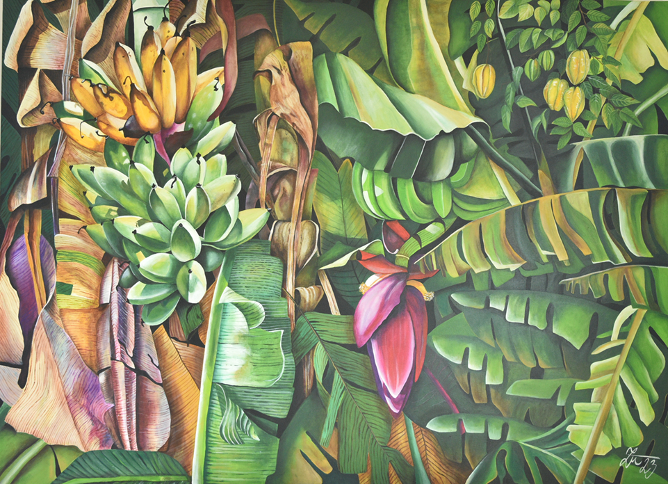 Banánovník 110 x 150 cm